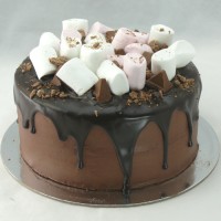 Marshmellow Drip Cake